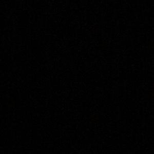 Meet your Posher, Shelby